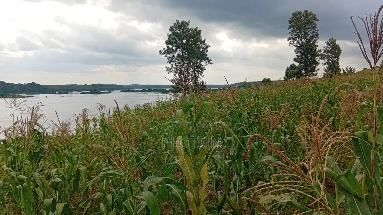 2.5 Acres With a Machine Drilled Borehole,On River Nile,Jinja District