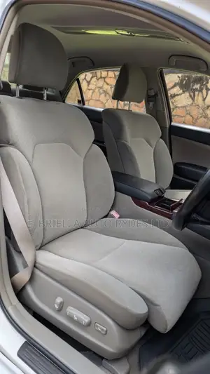 Toyota Mark X 2009 Silver