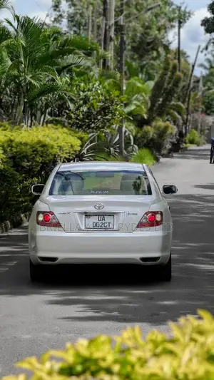 Toyota Mark X 2009 Silver