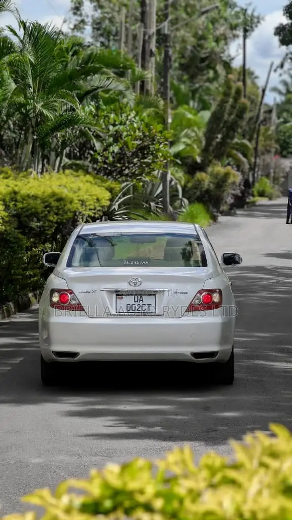 Toyota Mark X 2009 Silver