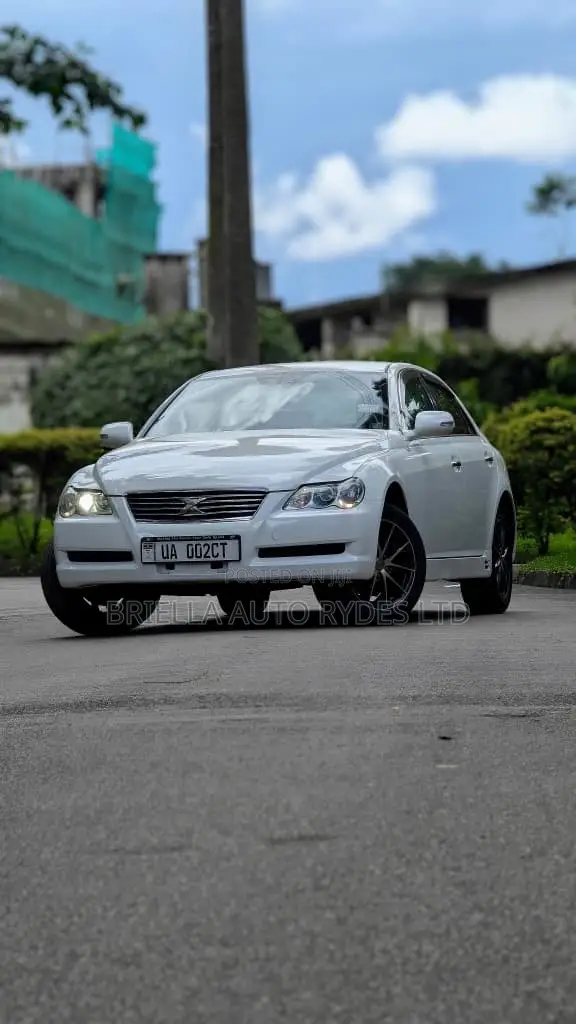 Toyota Mark X 2009 Silver