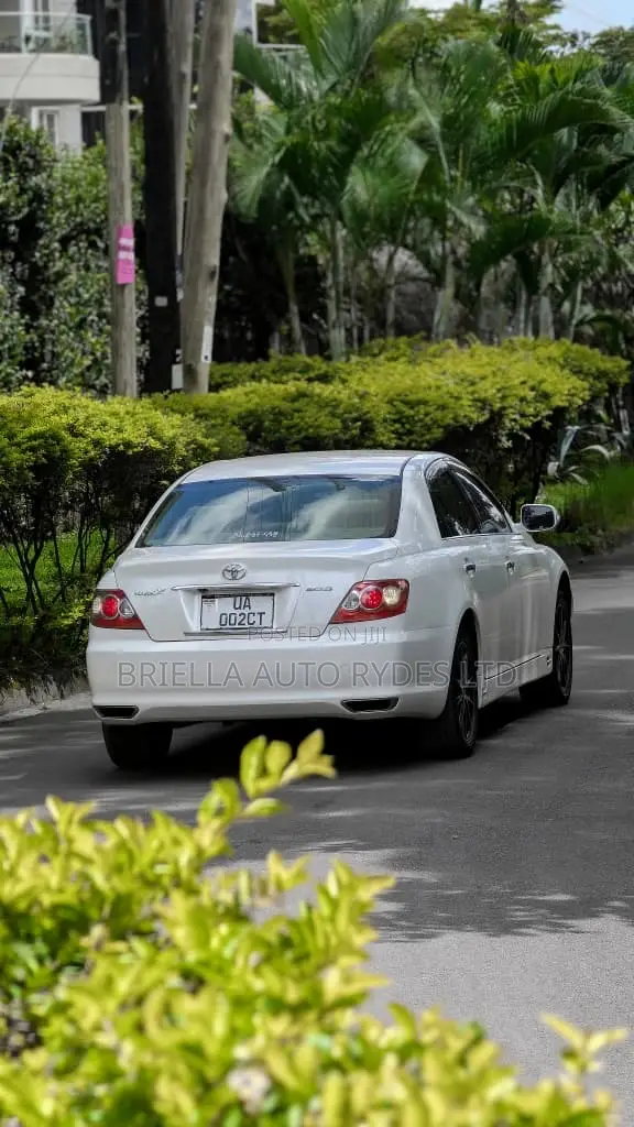 Toyota Mark X 2009 Silver
