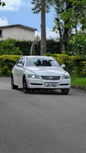 Toyota Mark X 2009 Silver