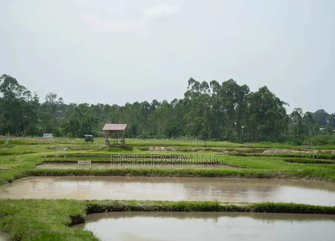 Agriculture Live Stocks
