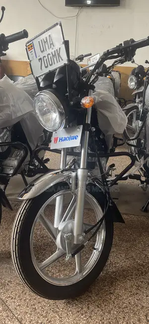 New Haojue XPRESS 2026 Brown