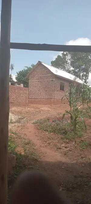 Farm With Well Set Modern Pigery, Banana Plantation, 3 Room House in M