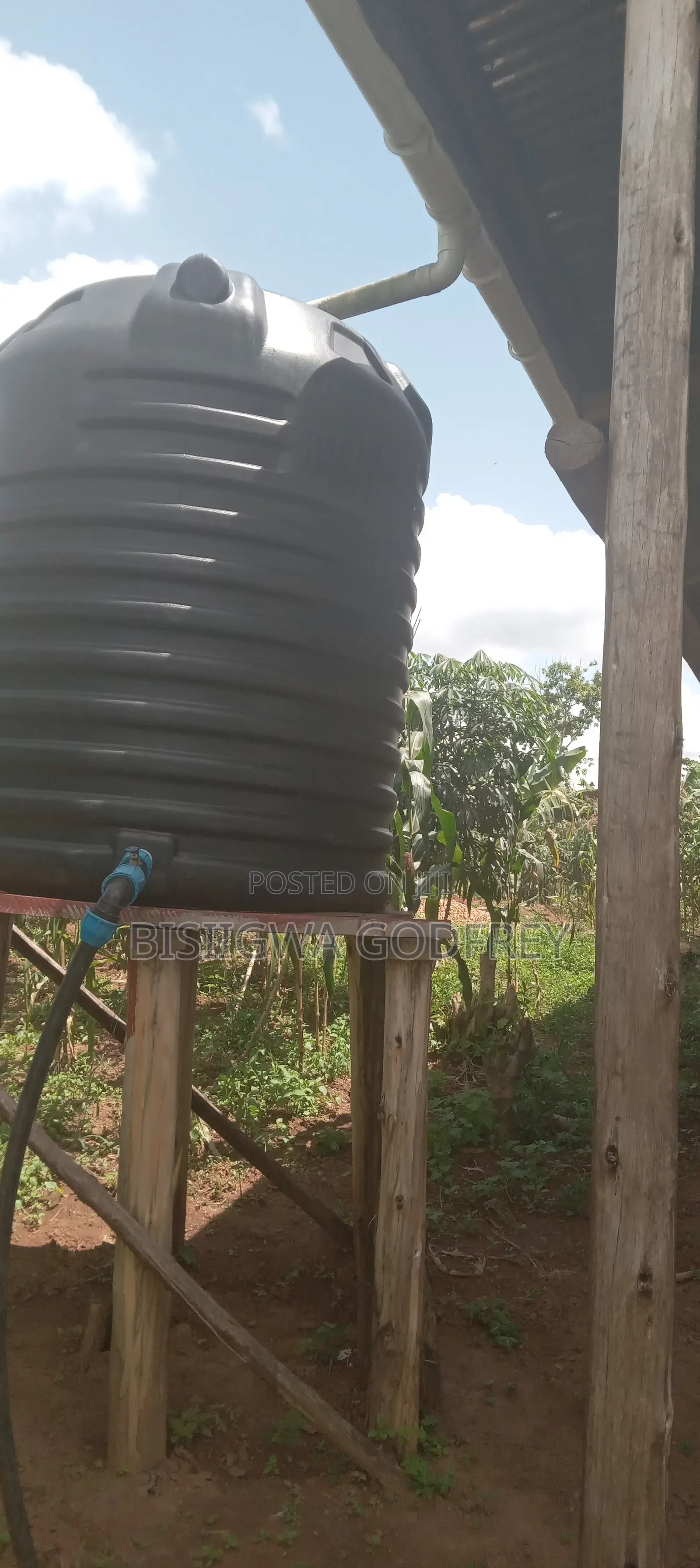 Farm With Well Set Modern Pigery, Banana Plantation, 3 Room House in M