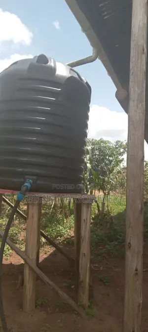 Farm With Well Set Modern Pigery, Banana Plantation, 3 Room House in M