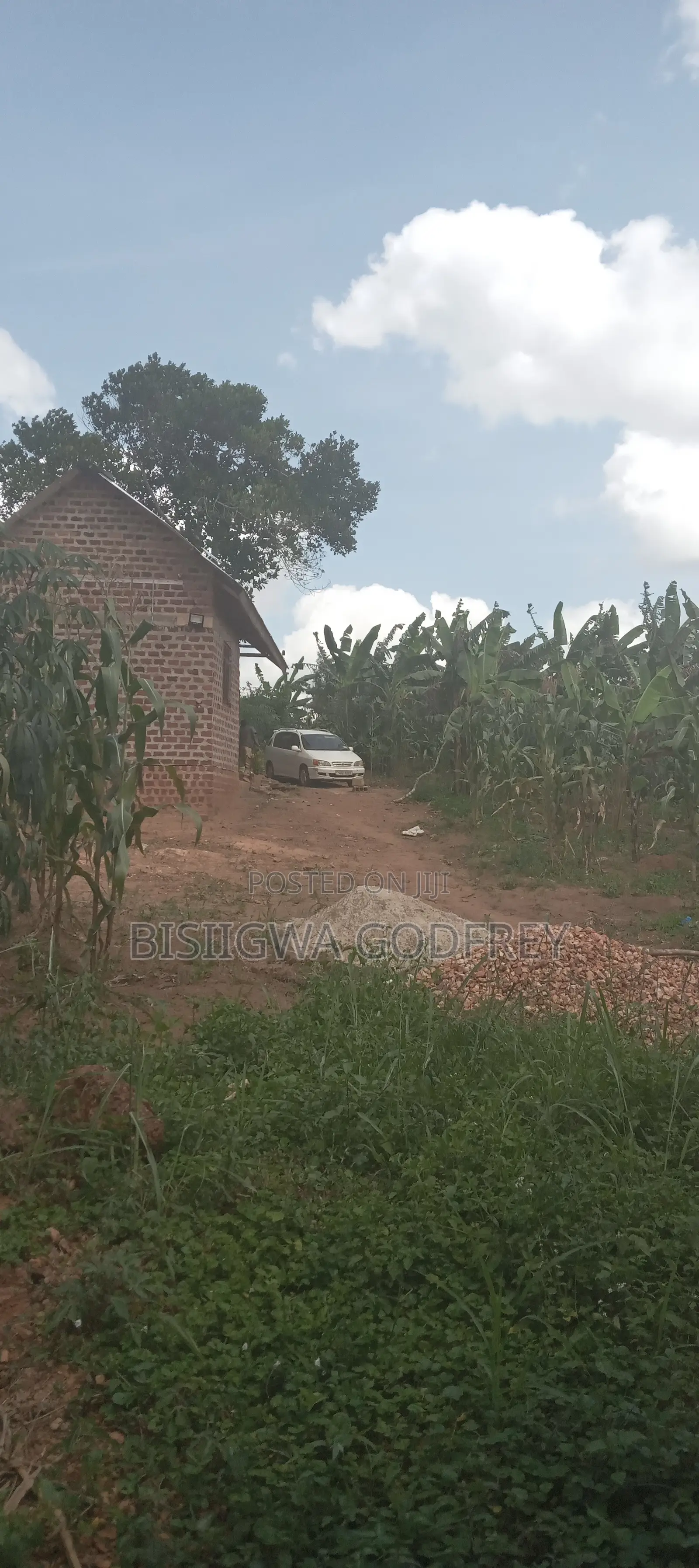 Farm With Well Set Modern Pigery, Banana Plantation, 3 Room House in M