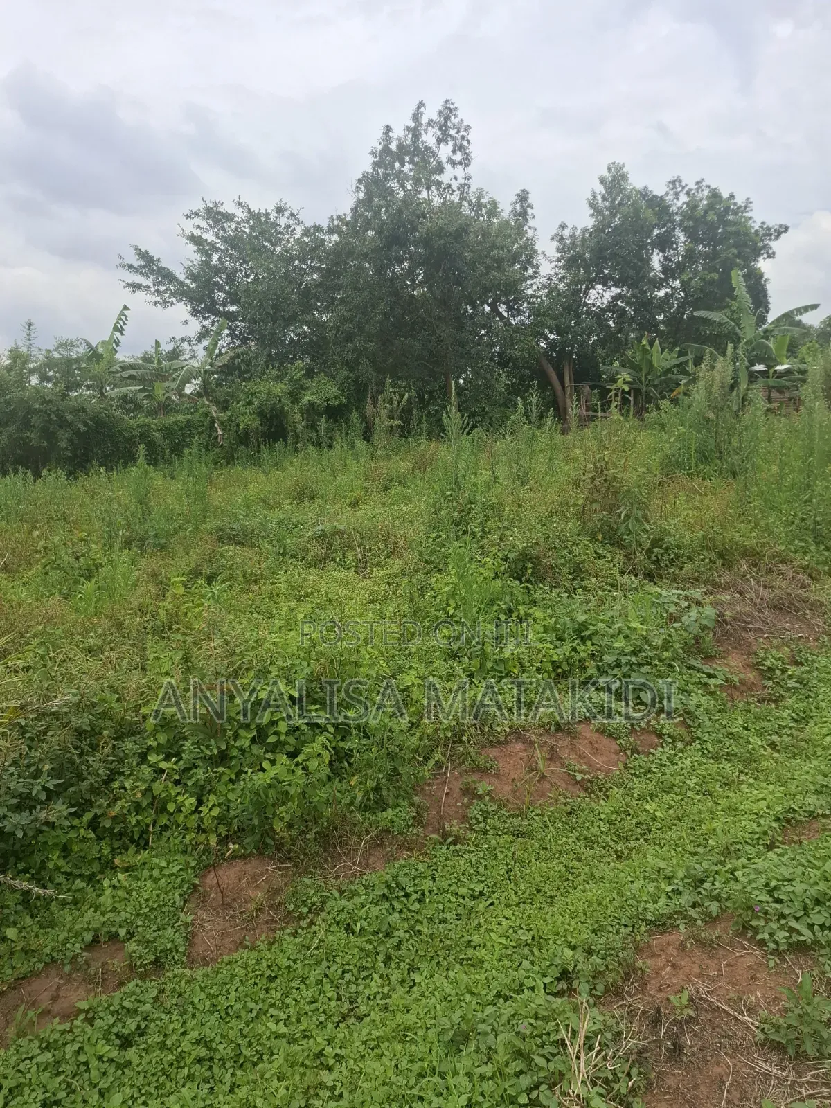 Plot at Luwero Mukito at 8m With a Title