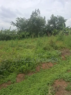 Plot at Luwero Mukito at 8m With a Title