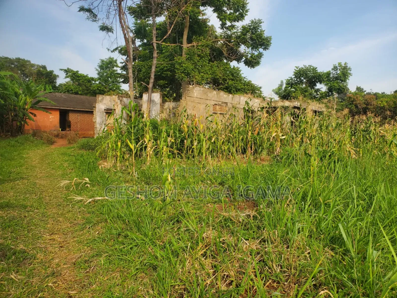 Prime Land for Sale in Gulu Next to Gulu University