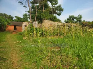 Prime Land for Sale in Gulu Next to Gulu University