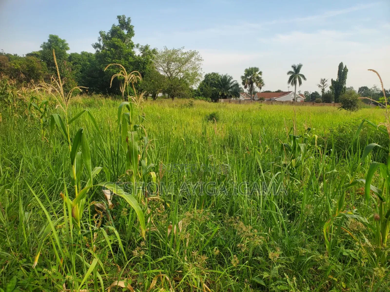 Prime Land for Sale in Gulu Next to Gulu University
