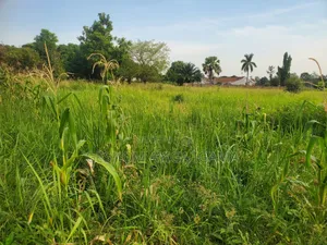Prime Land for Sale in Gulu Next to Gulu University