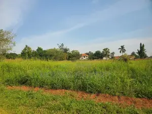 Prime Land for Sale in Gulu Next to Gulu University