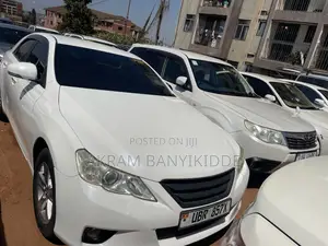 Toyota Mark X 2010 White