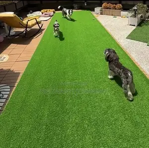 Nice Touch Grassy Carpet