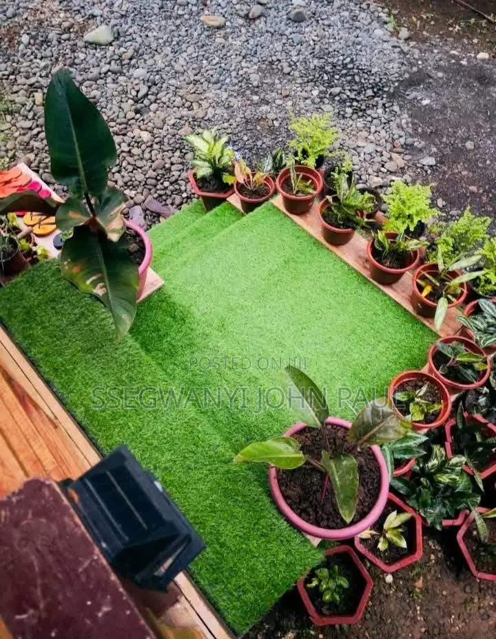 Nice Touch Grassy Carpet