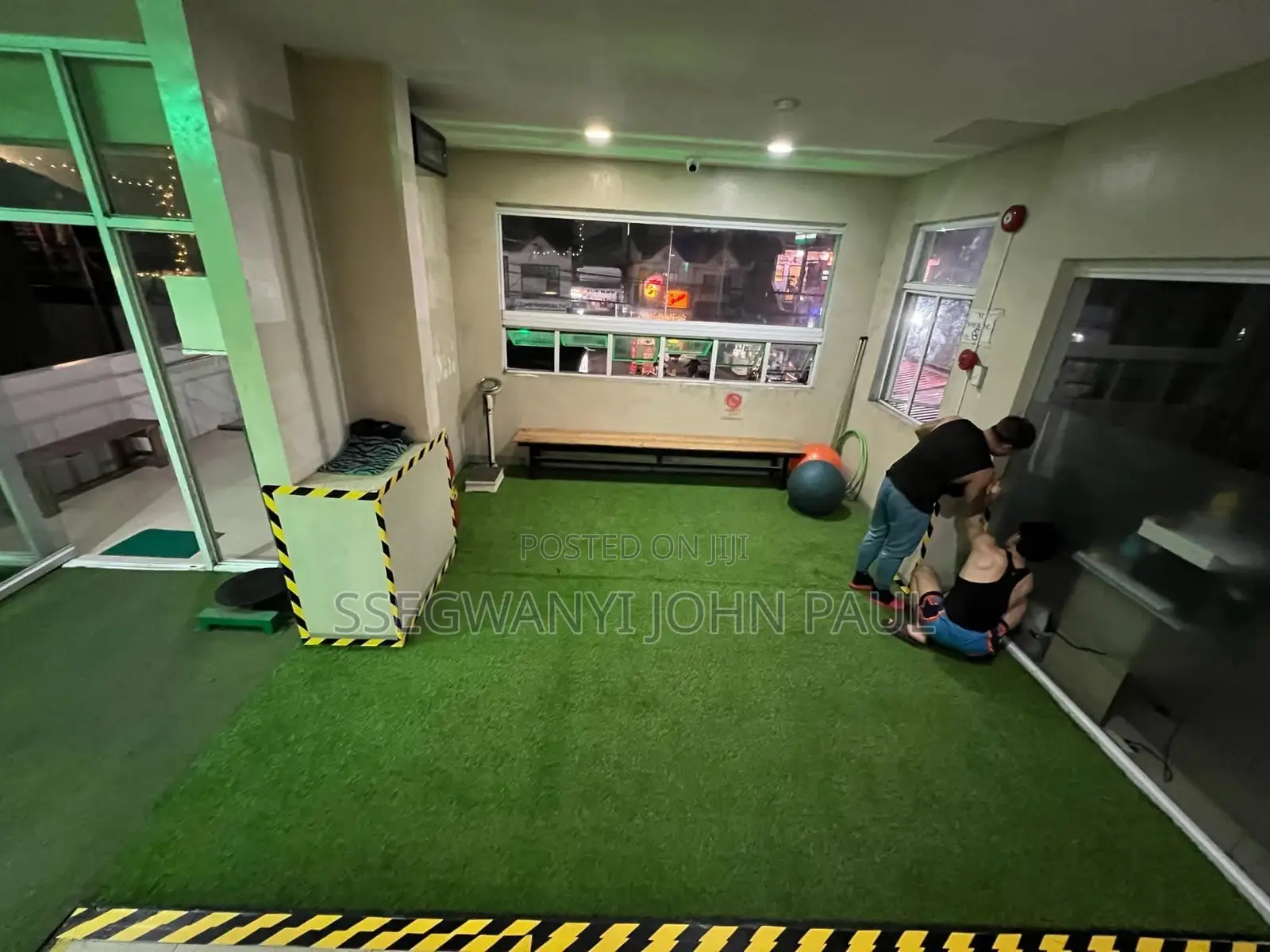 Floor Artificial Grass Carpet