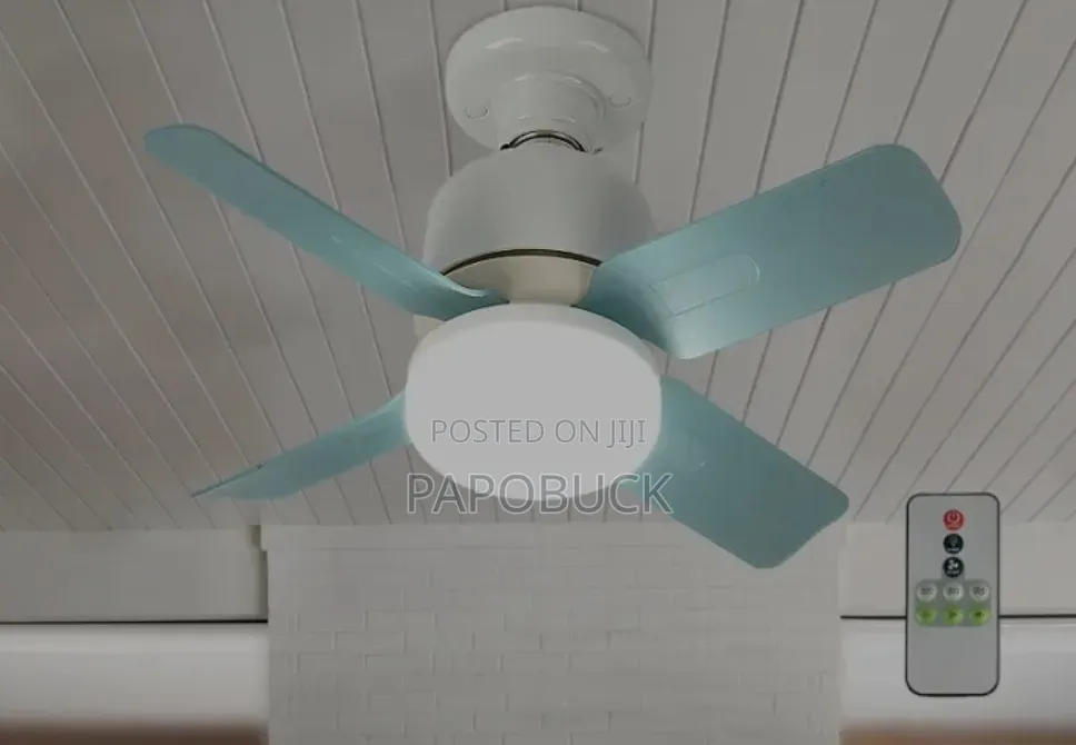 Mini Fan Light