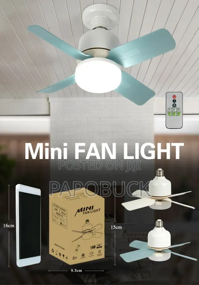 Mini Fan Light