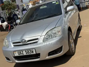 Toyota Allex 2006 Silver