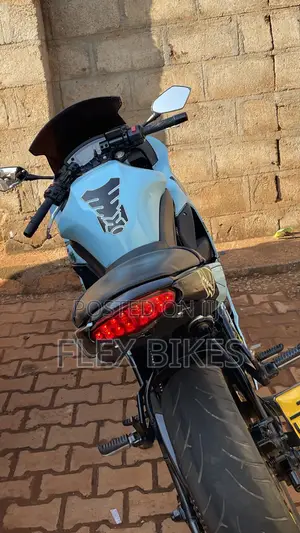 Kawasaki Ninja 650 2013 Blue