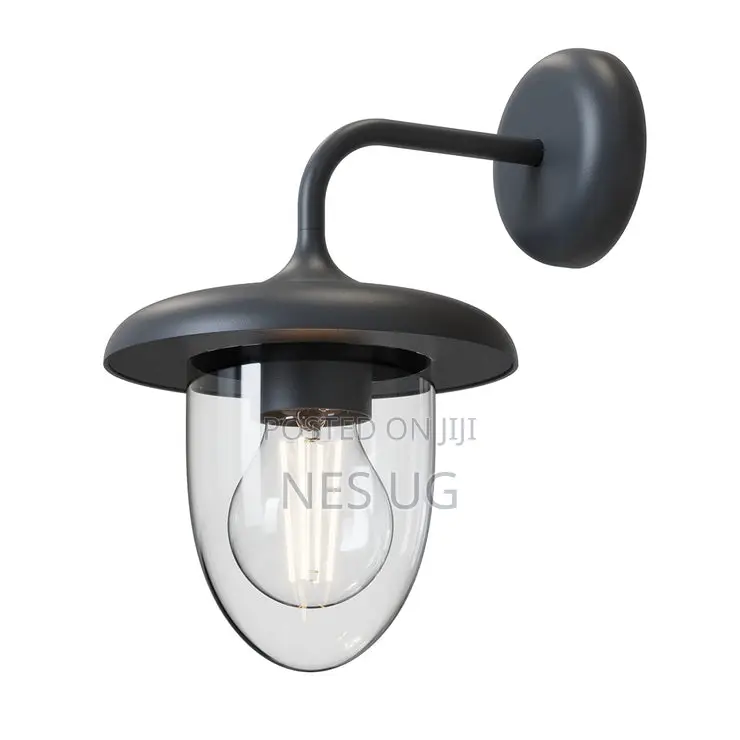 Tronic Oval Shaped Clear Aluminium Wall Light Holder