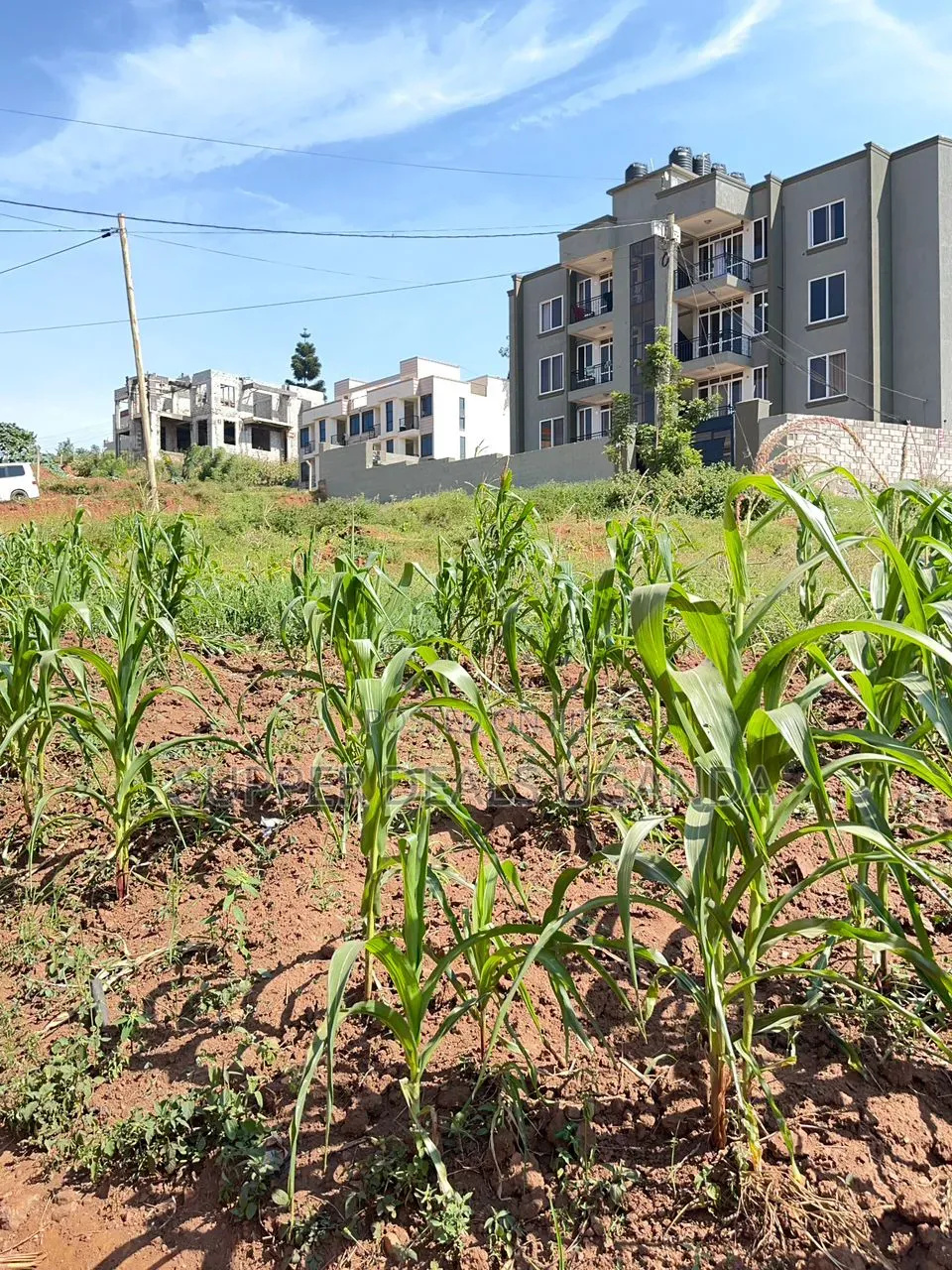 25 Decimals of Land for Sale in Bukooto
