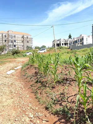 25 Decimals of Land for Sale in Bukooto