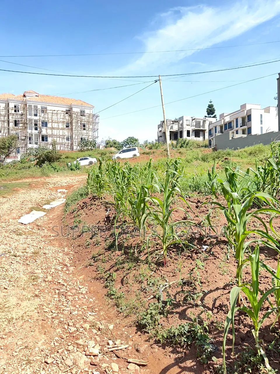 25 Decimals of Land for Sale in Bukooto