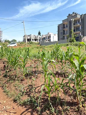 25 Decimals of Land for Sale in Bukooto