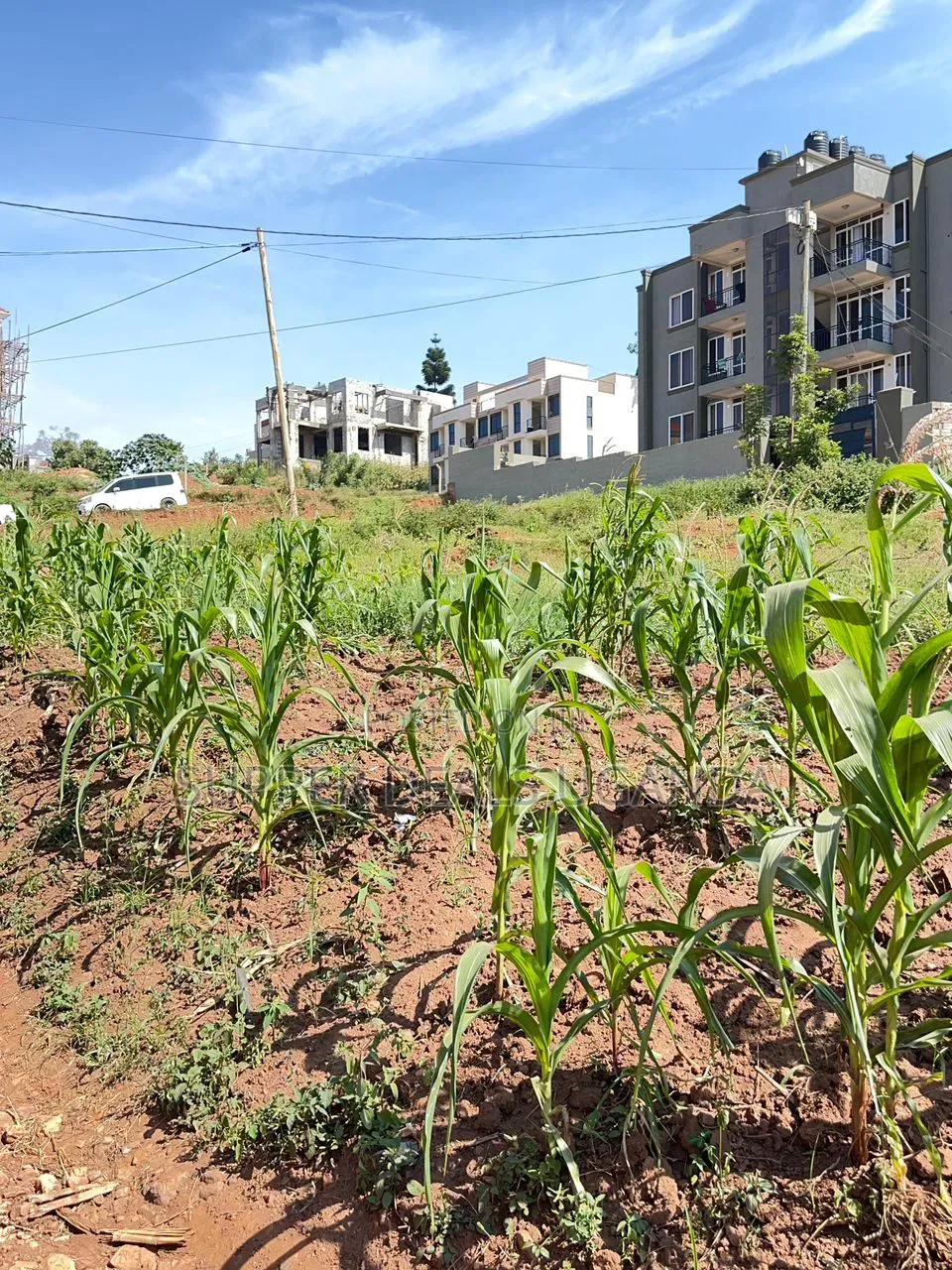 25 Decimals of Land for Sale in Bukooto