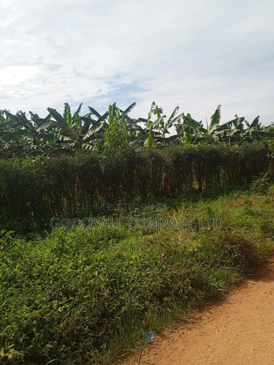 2 Acres of Land in Nakasajja Kubabumbi