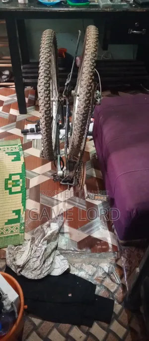 Foldable Bicycle