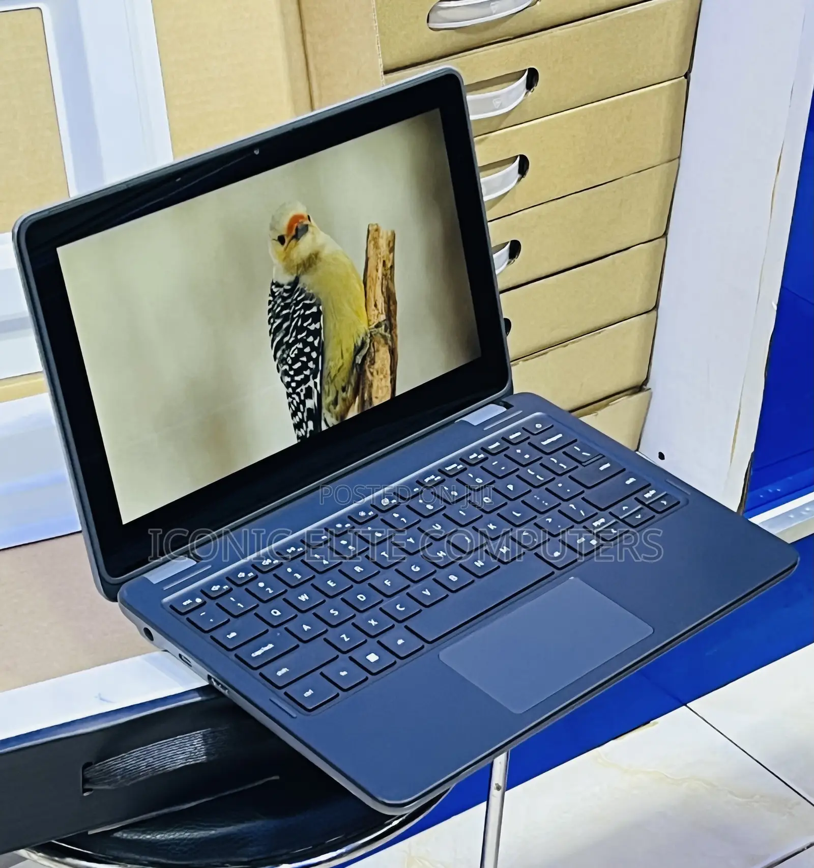 New Laptop Dell Latitude 3120 8GB Intel Pentium SSD 128GB