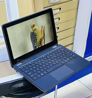 New Laptop Dell Latitude 3120 8GB Intel Pentium SSD 128GB