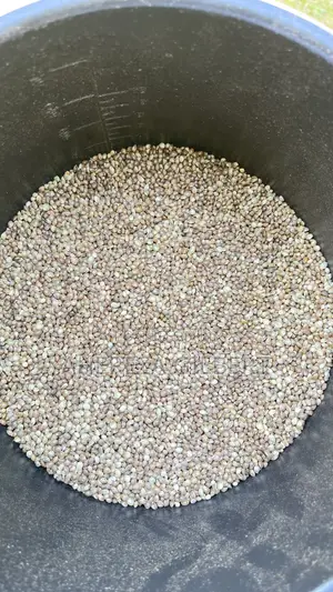 Cannabis Seeds for Medical Purposes