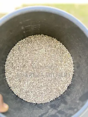 Cannabis Seeds for Medical Purposes