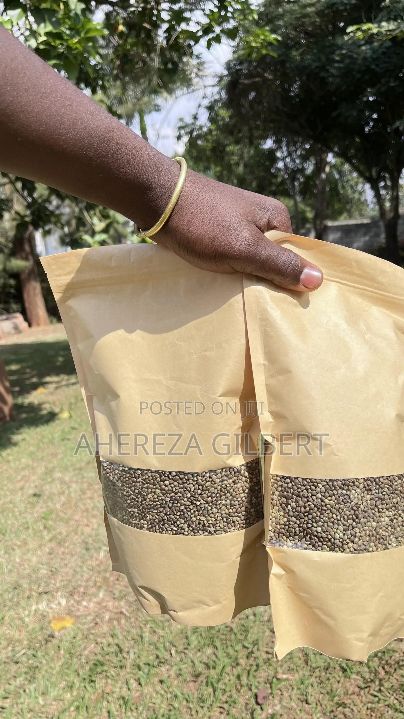Cannabis Seeds for Medical Purposes
