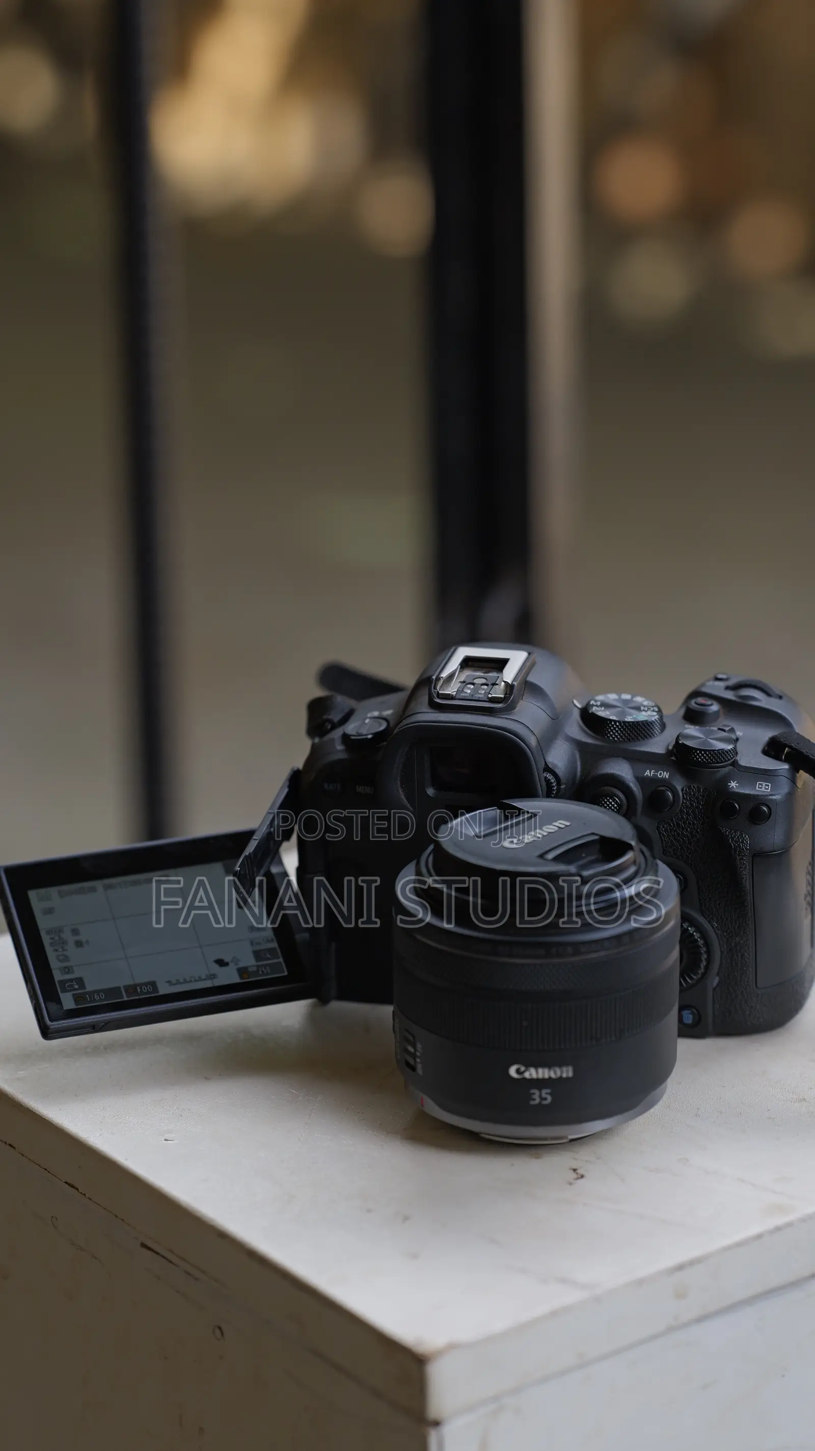 Canon R6 Mark 2 Mirrorless Camera