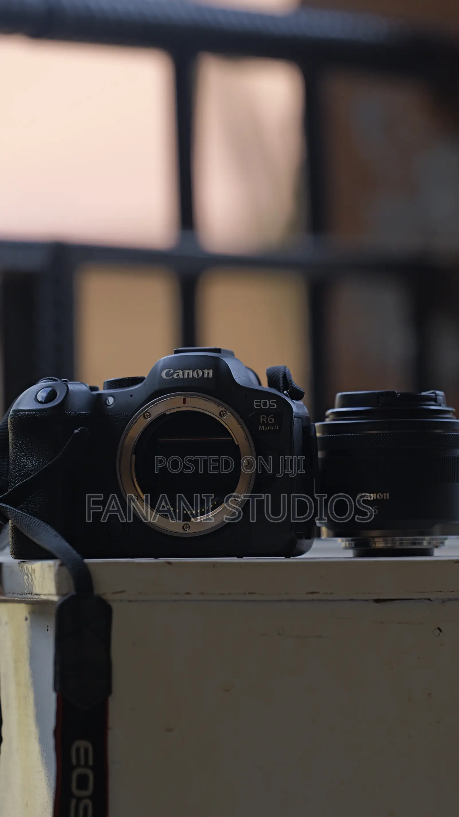 Canon R6 Mark 2 Mirrorless Camera