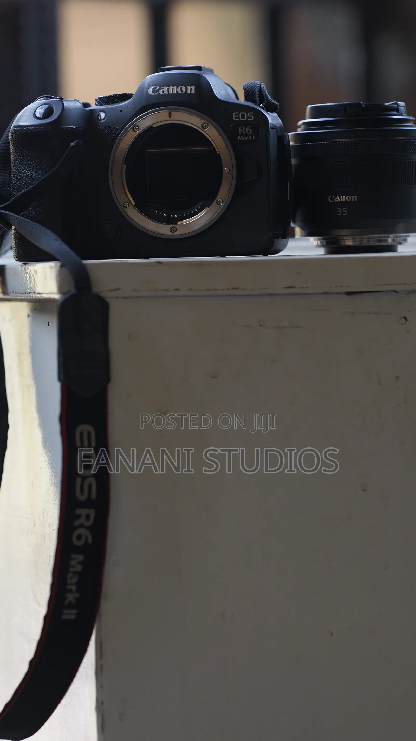 Canon R6 Mark 2 Mirrorless Camera
