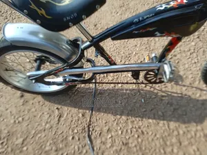 American Horse Bike