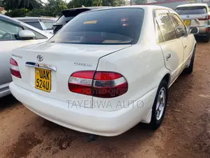 Toyota Corolla 1998 White