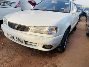 Toyota Corolla 1998 White