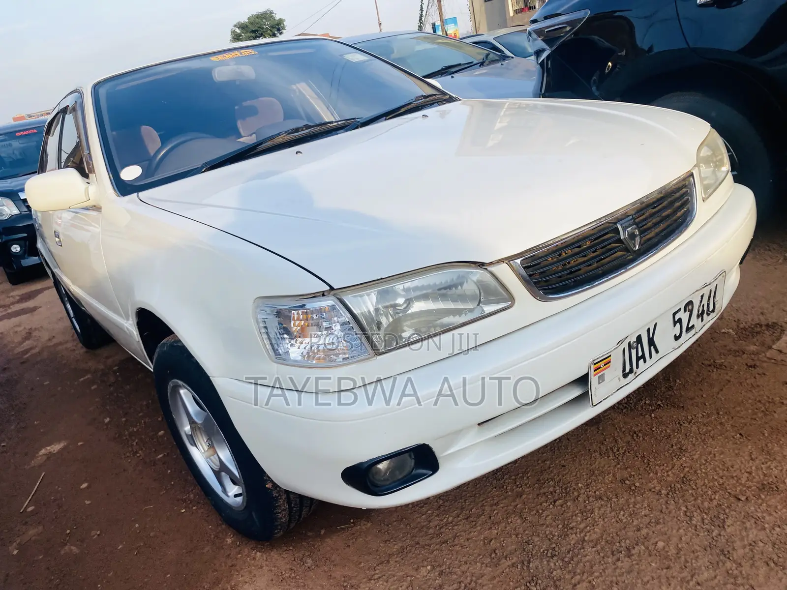 Toyota Corolla 1998 White