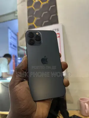 Apple iPhone 12 Pro Max 128 GB Gray