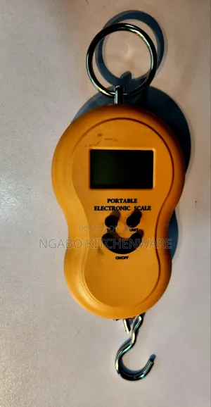 Electric Hanging Scale